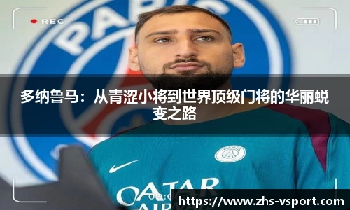 v体育官方网站